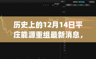 2024年12月15日 第23页