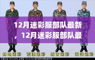 12月迷彩服部队最新装备指南，获取、搭配全攻略，适合初学者与进阶用户