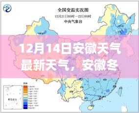 安徽冬至日温暖与寒冷的博弈，最新天气纪实