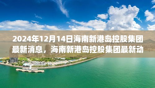 海南新港岛控股集团最新动态深度解析，展望全新未来，2024年最新消息与动态