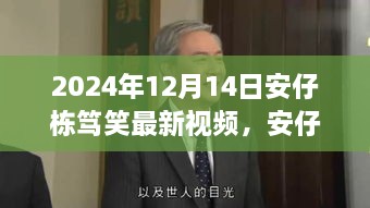 安仔栋笃笑最新视频，温馨日常的欢乐时光（2024年12月14日）