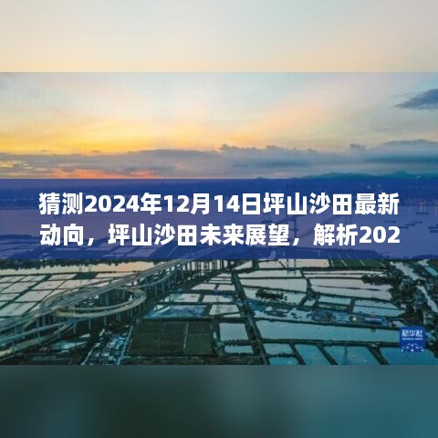 坪山沙田未来展望，解析动向与预测分析至2024年12月14日的发展动向报告