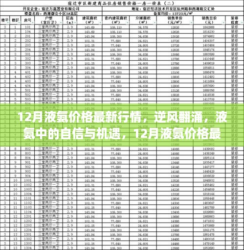 2024年12月15日 第16页