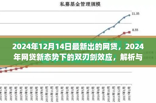 2024年网贷新态势下的双刃剑效应解析与观点阐述