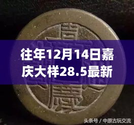 揭秘往年12月14日嘉庆大样28.5最新价格及行情动态分析