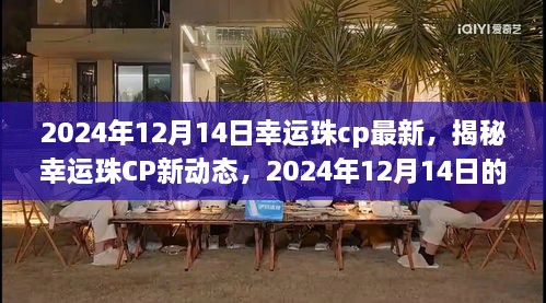 揭秘幸运珠CP新动态，2024年12月14日的独特魅力与最新进展