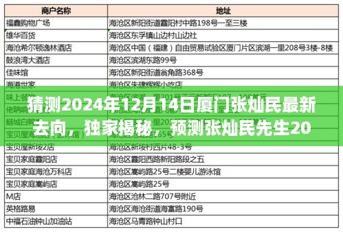 独家预测，张灿民先生2024年12月14日厦门最新动向揭秘