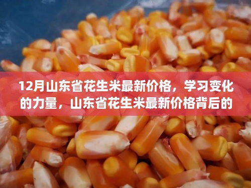 山东省花生米最新价格背后的励志故事，学习变化的力量与成长之路