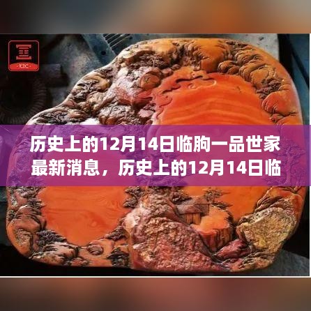 历史上的12月14日临朐一品世家动态概览与最新消息发布