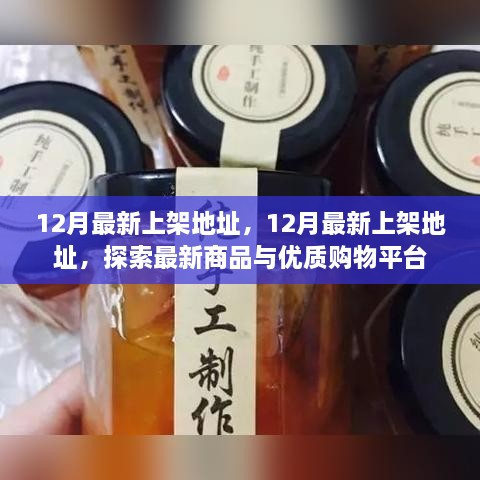 探索最新商品与优质购物平台，12月最新上架地址汇总