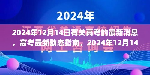 高考最新动态指南，2024年12月14日关键信息一览助你顺利备考