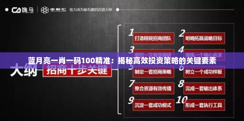 蓝月亮一肖一码100精准：揭秘高效投资策略的关键要素