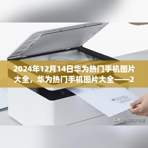 华为热门手机图片集锦，2024年12月14日科技焦点回顾