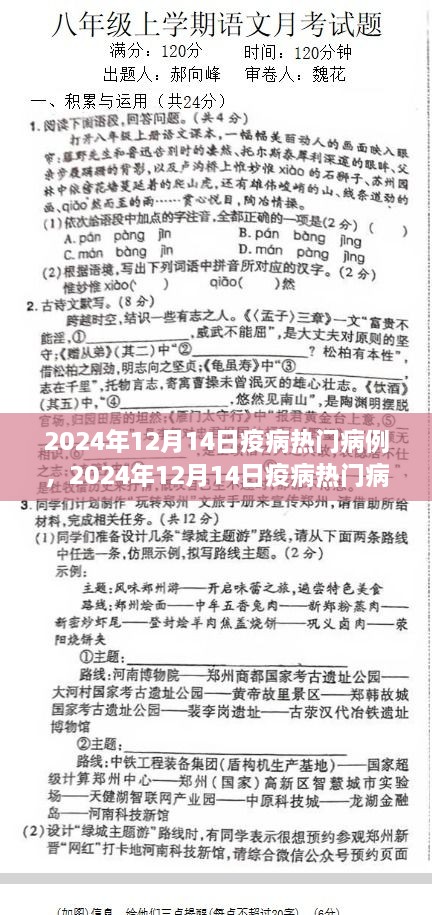 2024年12月14日疫病热门病例深度解析与探讨