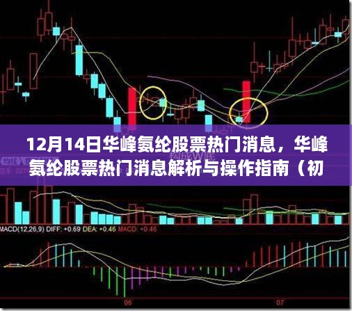 华峰氨纶股票最新消息解析与操作指南，初学者与进阶用户必读