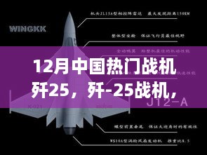 歼-25战机，十二月热议焦点下的多维度解读与个人观点