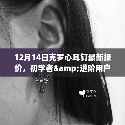 12月14日克罗心耳钉最新报价，初学者与进阶用户购买指南