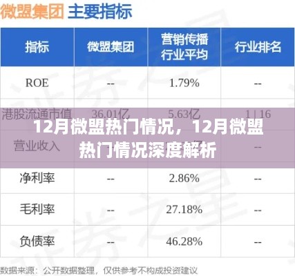 12月微盟热门情况深度解析报告