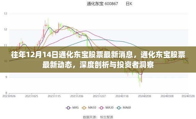 通化东宝股票最新动态及深度剖析，投资者洞察与往年消息对比