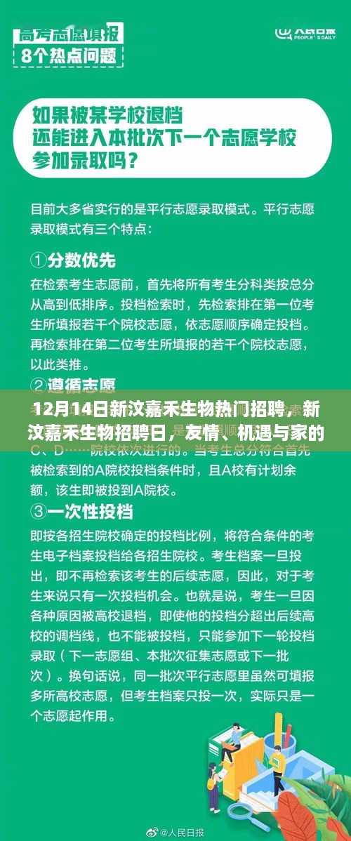 新汶嘉禾生物招聘日，友情、机遇与家的温暖交织，12月14日热门职位等你来