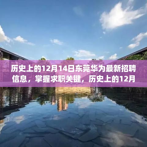 东莞华为最新招聘信息深度解析与求职步骤指南——历史上的求职关键日期回顾（12月14日）