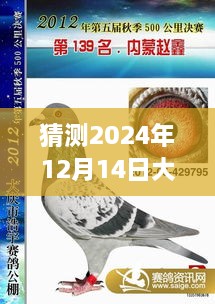 大庆浩宇公棚最新公告猜想，特性解读、体验体验、竞争对比与目标用户深度分析（2024年12月14日）