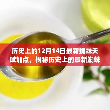 揭秘历史最新蜘蛛天赋加点，12月14日重点解读与加点策略