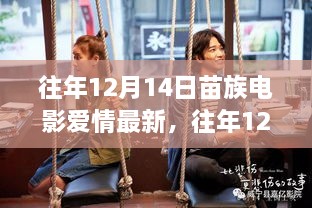 往年12月14日苗族电影爱情，最新呈现与独特见解