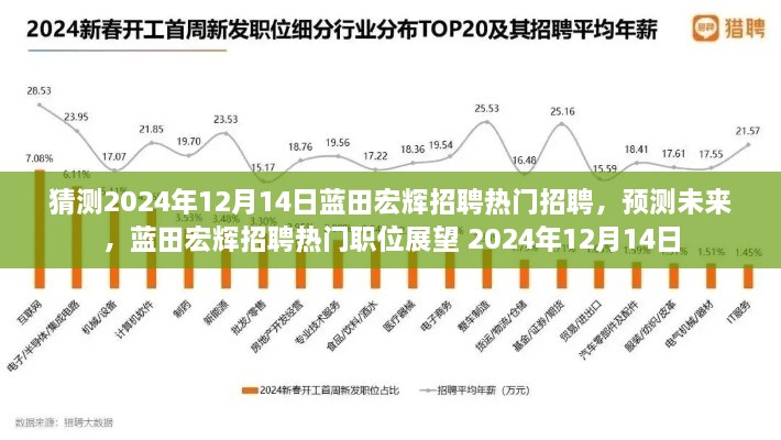 蓝田宏辉招聘展望，预测未来热门职位在2024年12月14日的趋势