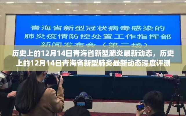 历史上的12月14日青海省新型肺炎最新动态，深度报告与评测标题，历史上的今天，青海省新型肺炎最新动态深度解析与评测报告