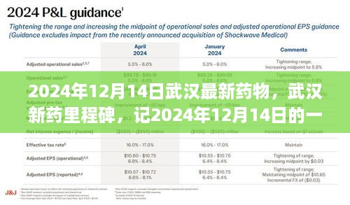 医学革新里程碑，武汉新药研发之旅，记武汉最新药物突破与医学革新历程（2024年12月14日）