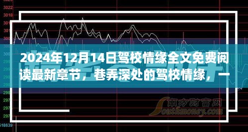 驾校情缘，巷弄深处的甜蜜邂逅免费阅读全文最新章节（2024年12月14日）