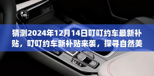 叮叮约车新补贴预测，探寻自然美景之旅，启程寻找内心宁静的旅程