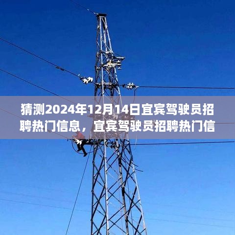 2024年12月17日 第6页