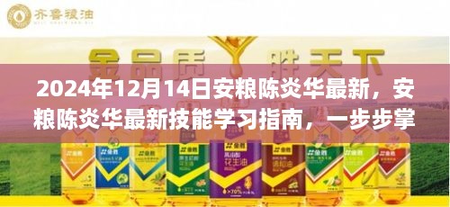 安粮陈炎华技能学习指南，从初学者到进阶用户的关键任务掌握（2024年最新版）