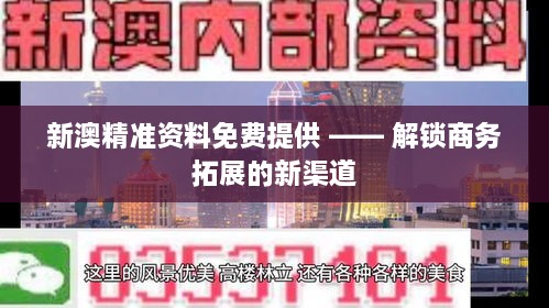 新澳精准资料免费提供 —— 解锁商务拓展的新渠道