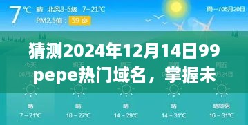 掌握未来，揭秘99pepe热门域名背后的故事与成长之路——预测至2024年12月14日的影响与机遇