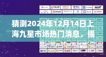 揭秘未来上海九星市场热门消息，预测与解读初学者与进阶用户指南