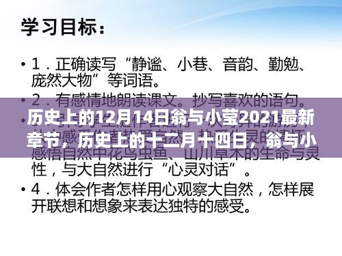 翁与小莹，历史上的十二月十四日篇章最新章节更新速递