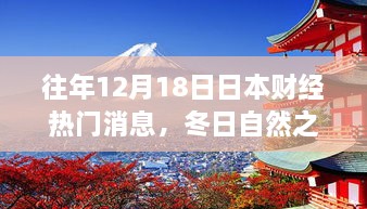 冬日财经探寻之旅，日本财经背后的美景与心灵宁静盛事