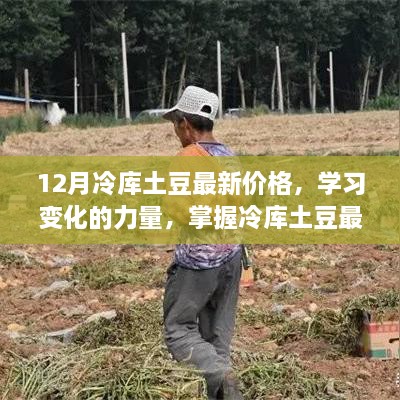 冷库土豆背后的励志故事，学习变化的力量与最新价格解析