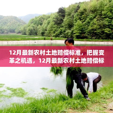 12月农村土地赔偿标准变革下的机遇与挑战，励志篇章开启