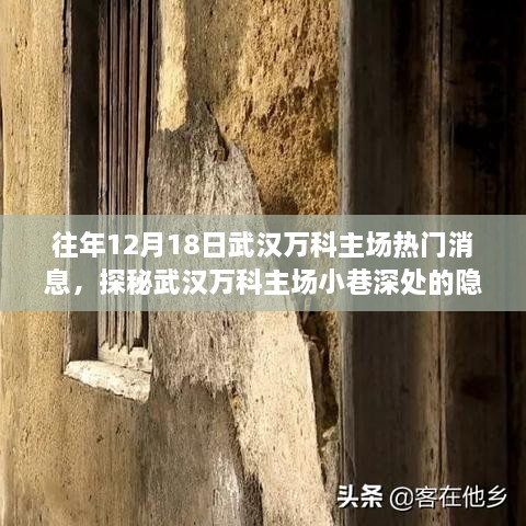 揭秘武汉万科主场隐藏瑰宝，特色小店奇遇记与独家新闻回顾