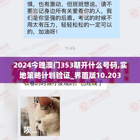 2024今晚澳门353期开什么号码,实地策略计划验证_界面版10.203