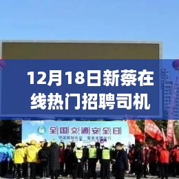 新蔡在线司机招聘热点解析，12月18日特别关注