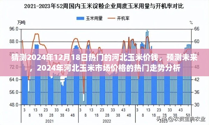 2024年河北玉米市场热门走势预测，价格趋势分析与展望