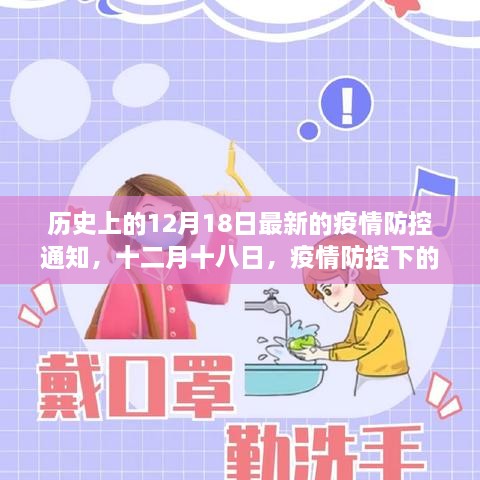 疫情防控下的温馨日常与家的力量，十二月十八日最新通知回顾历史上的今天