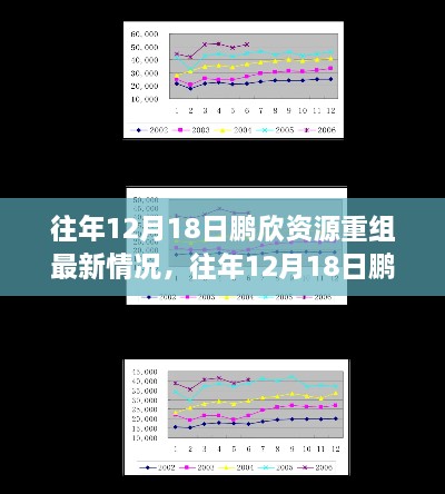 往年12月18日鹏欣资源重组最新动态与深度评测分析