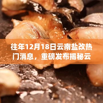 揭秘云南盐改背后的科技新星，智能科技产品引领革新之旅，体验生活革新之旅重磅发布消息！