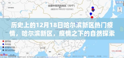 哈尔滨新区疫情之下的自然探索之旅，历史视角的12月18日观察